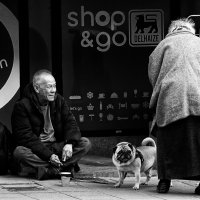 Брюссельский попрашайка... :: Elena Ророva