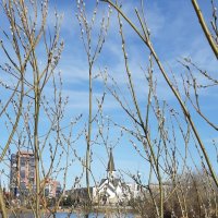 Пулковский парк :: Наталья Герасимова