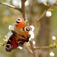 из снятого сегодня 5 :: Александр Прокудин из снятого сегодня 5 :: Александр Прокудин