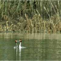 Время любви :: Валентин Котляров