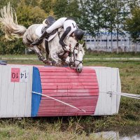 Кросс :: SanSan 