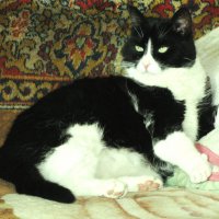 После прогулки :: Людмила Смородинская