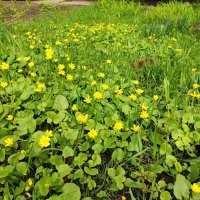 ... :: Сергей Тимоновский ... :: Сергей Тимоновский