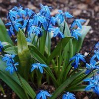 * :: Nataly St. * :: Nataly St.