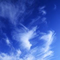 Апрельское небо. :: Василий Палий