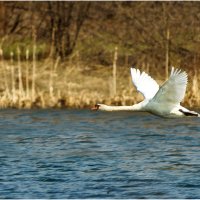 Возвращение на родину :: Валентин Котляров Возвращение на родину :: Валентин Котляров