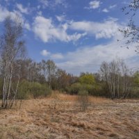 Палитра апреля... :: Владимир Жданов