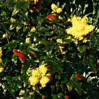 Весенние зарисовки 94 :: Алексей Кузнецов Весенние зарисовки 94 :: Алексей Кузнецов