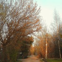 Загорянка :: Леонид leo Загорянка :: Леонид leo