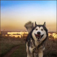 Ярик. :: leff Postnov