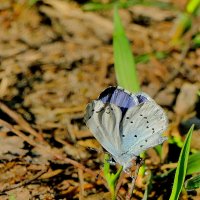из снятого сегодня 6 :: Александр Прокудин из снятого сегодня 6 :: Александр Прокудин