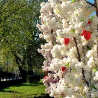 Со Светлой Пасхой! :: Татьяна Помогалова