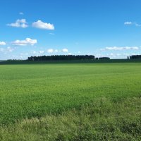 Просторы :: Дмитрий Петров