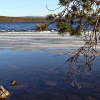 Пинозеро :: Ольга Пинозеро :: Ольга