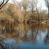 *** :: Валентина Береснева