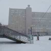 Внезапный снег :: Андрей Макурин
