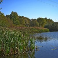 Люблинский пруд :: Игорь Белоногов