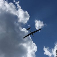Человек в планере чувствует себя свободным, как птица :: Ivan VIKAR