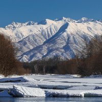 ... :: Жора Житников