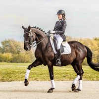 Выездка :: SanSan 