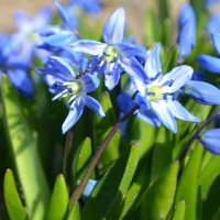 Муравьишка) :: Татьяна Лютаева