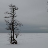 Облачным утром..... :: Юрий Цыплятников