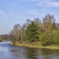 Зелень украсила берега :: Сергей Цветков Зелень украсила берега :: Сергей Цветков