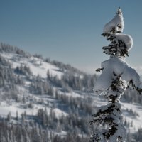 * :: Александр Иванов