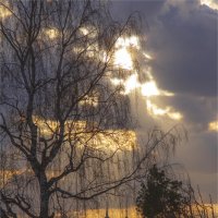 Церковь Троицы Живоначальной :: Анастасия Северюхина