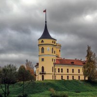Павловск :: skijumper Иванов
