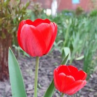 ,,, :: Сергей Тимоновский