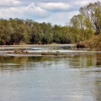 Моя любимица река. :: Восковых Анна Васильевна 