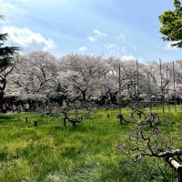 * * * :: Елена * * * :: Елена