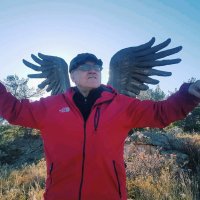 Крылатый...паря :: Георгиевич 