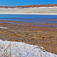 Апрель...Полыньи на Юганской Оби! :: Владимир 