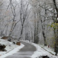 Первый снег...... :: Юрий Цыплятников