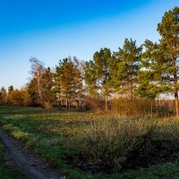Апрельское утро :: Петр 