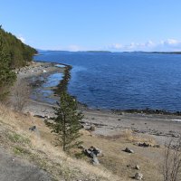 Белое море :: Ольга Белое море :: Ольга