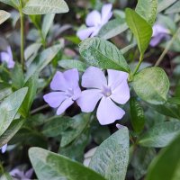 ,,, :: Сергей Тимоновский