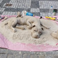 Скульптура из песка :: Ирэн 