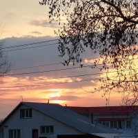 Обожаю закаты :: светлана льдокова