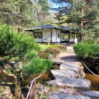 В японском саду :: ИРЭН@ . В японском саду :: ИРЭН@ .