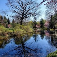 Весна :: ИРЭН@ .