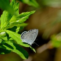 из снятого сегодня 1 :: Александр Прокудин из снятого сегодня 1 :: Александр Прокудин