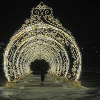 В Лужниках. :: Евгений Седов В Лужниках. :: Евгений Седов