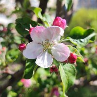 ,,, :: Сергей Тимоновский