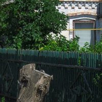. :: Александр Хоменко