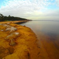 Репино. На берегу Финского залива :: Магомед .