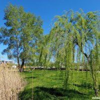 В ростовском экопарке :: Нина Бутко В ростовском экопарке :: Нина Бутко