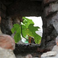 Древние стены :: Ольга Древние стены :: Ольга